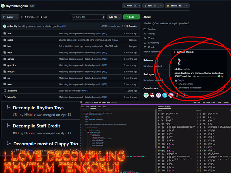 Rhythm Tengoku Decompliation (Contributions)